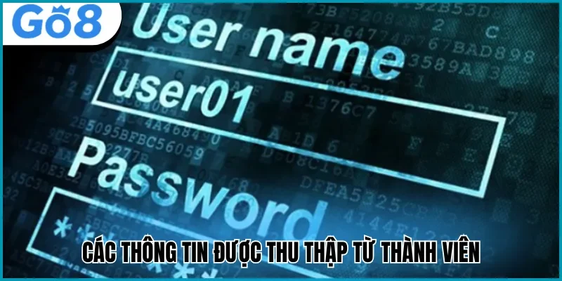 chính sách bảo mật go8 thu thập thông tin